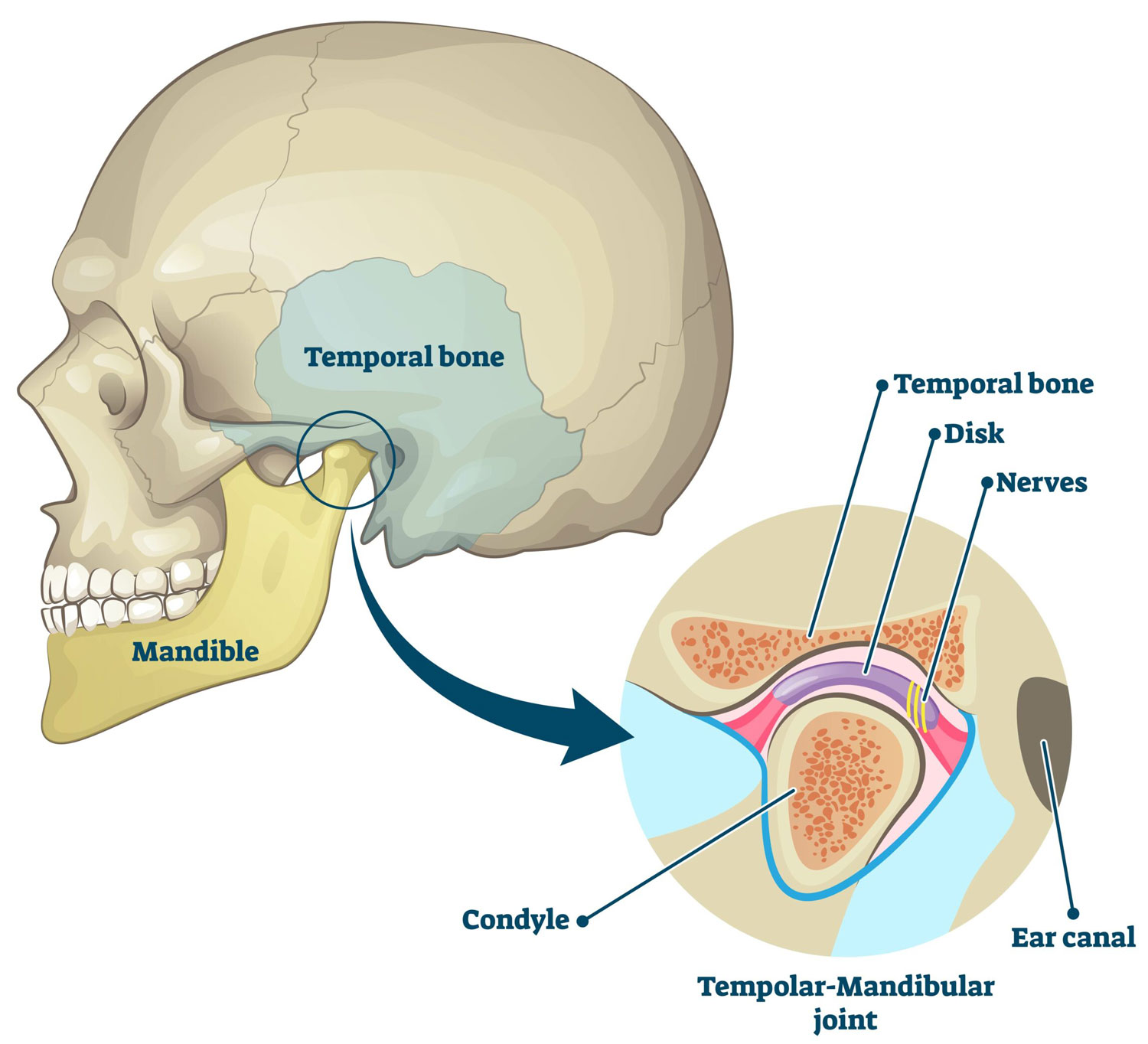 TMJ Dysfuction - Epoch Integrated Health